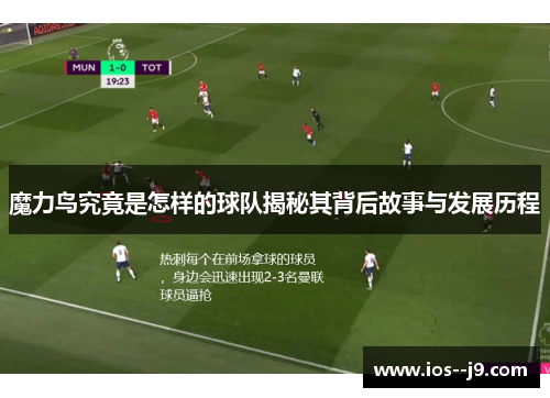 魔力鸟究竟是怎样的球队揭秘其背后故事与发展历程