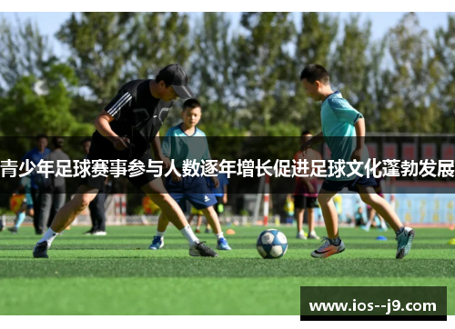 青少年足球赛事参与人数逐年增长促进足球文化蓬勃发展